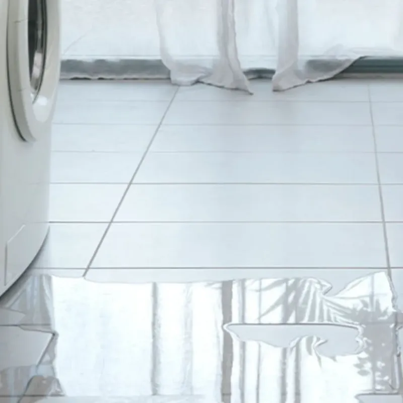 Appliance Leak Cleanup in New Paris, OH