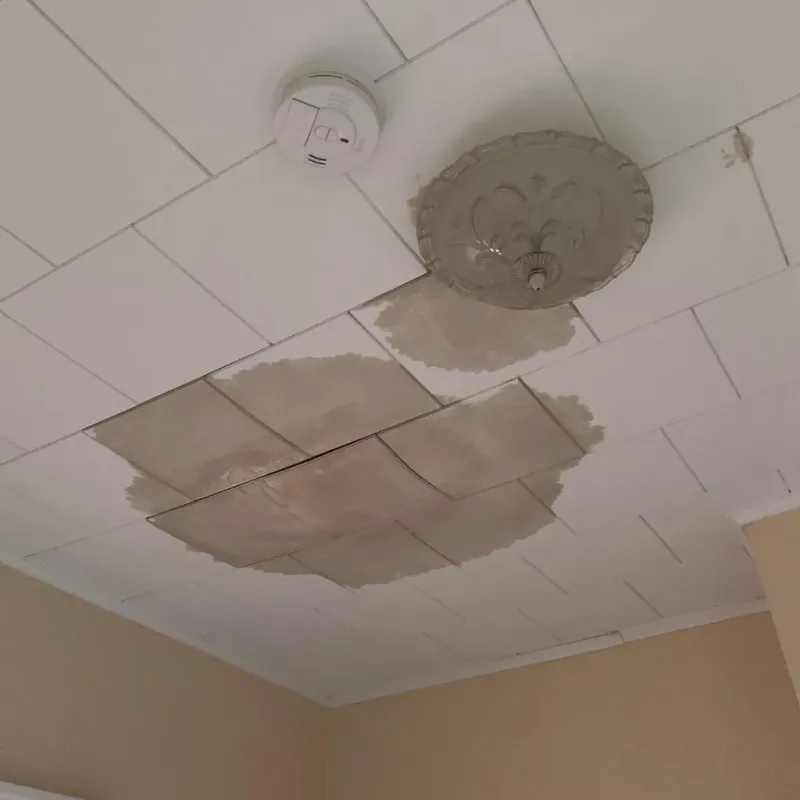 Ceiling Water Damage Repair in New Paris, OH