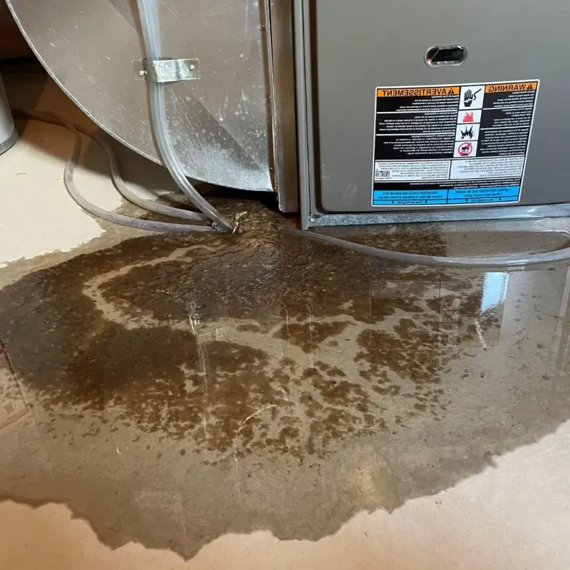 Pipe Burst and Leak Restoration in New Paris, OH