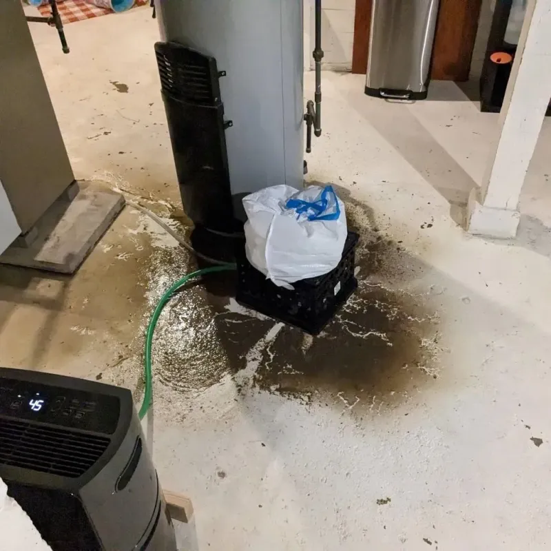 Sewage Backup Cleanup Service in New Paris, OH
